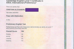 rezultate_copii_aldesia_CAE (12)