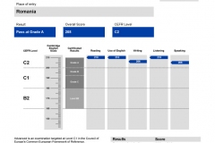 rezultate_copii_aldesia_CAE (15)