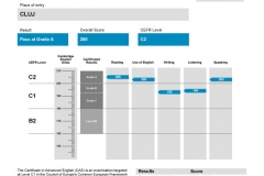 rezultate_copii_aldesia_CAE (6)