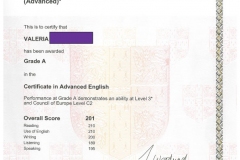 rezultate_copii_aldesia_CAE-(16)