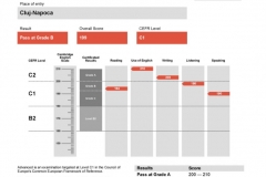 rezultate_copii_aldesia_CAE